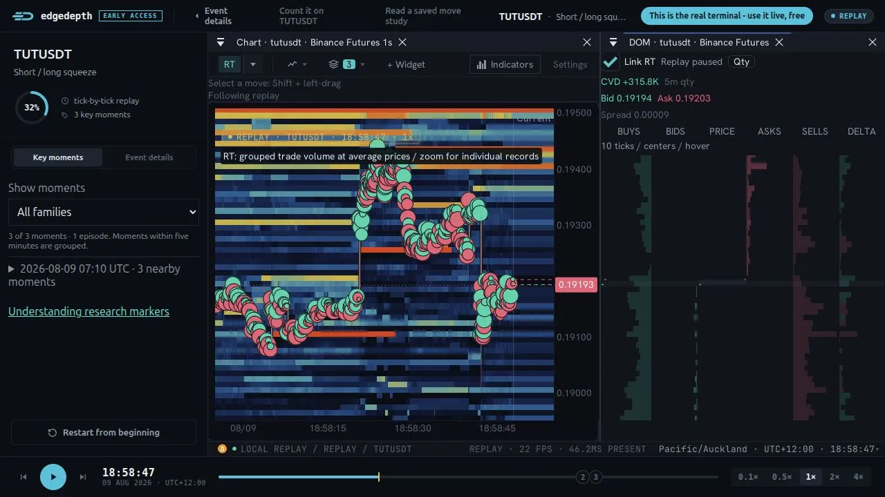 TUT recorded replay in the current terminal, with depth, trade bubbles, DOM and the replay transport